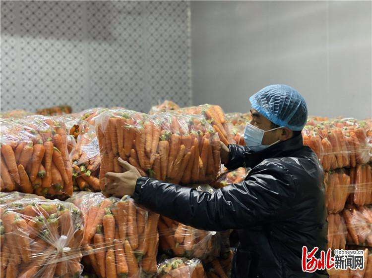 三河：农业兴旺思路宽 农民增收幸福长