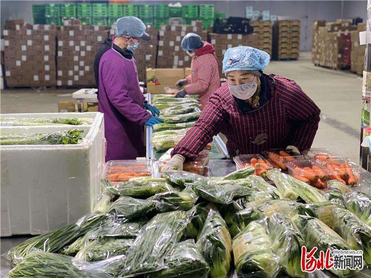 三河：农业兴旺思路宽 农民增收幸福长