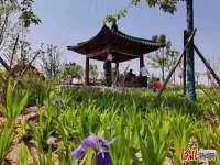 河北邯郸邯山区渚河源郊野公园“五一”