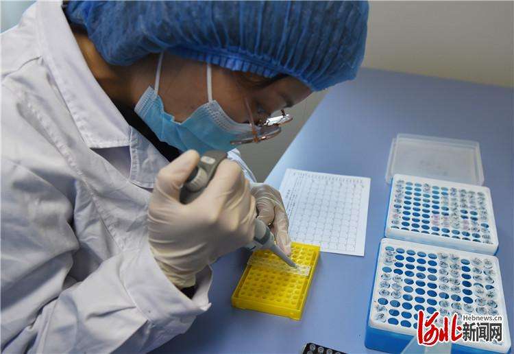 廊坊区全力冲刺级区第一方阵