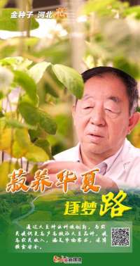 金种子 河北“芯”②“菽养华夏”逐梦路