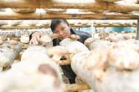 ​永清：“一村一品”助力乡村振兴