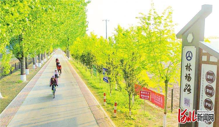 衡水加快北方平原地区统筹发展先行区