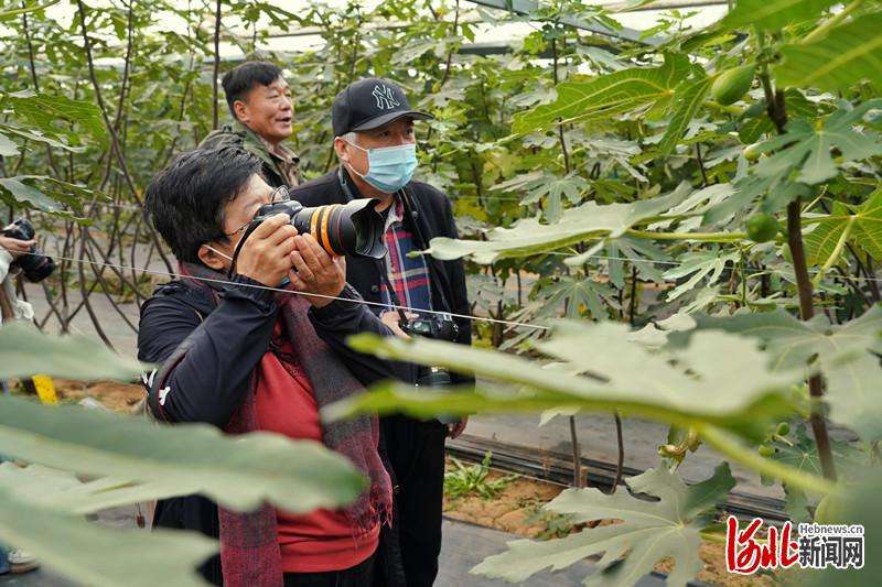 河北唐山开平：文艺助力乡村振兴