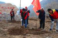 沙河举办“同栽一棵树，共建好人林”活动