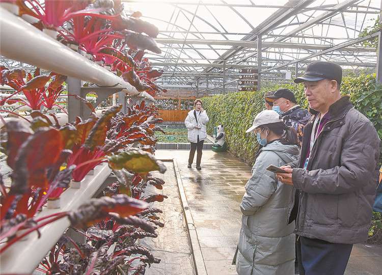 “游”打造廊坊旅游最强攻略