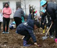 北戴河戴河镇举办“锦绣戴河 绿动春天”植树认养活动
