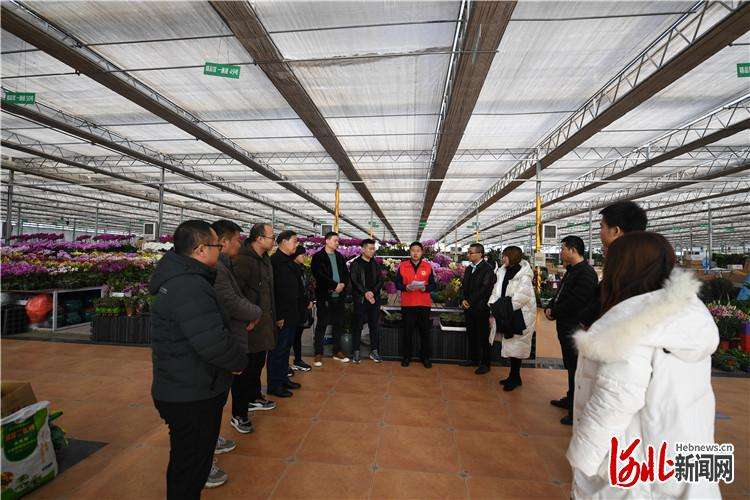 永清：退役军人带头宣讲的十九届精神
