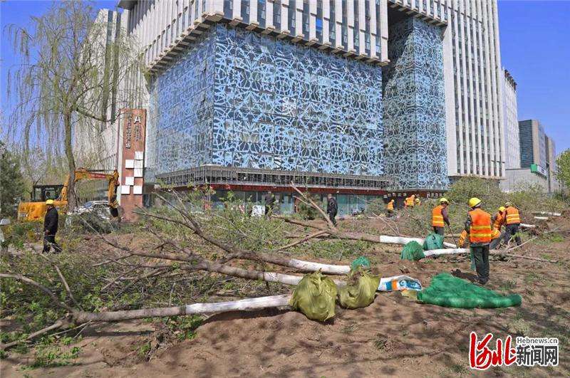 河北张家口市经开区将新建10个“口袋公园”
