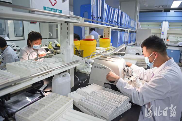 河北固安：打造生命健康产业集群