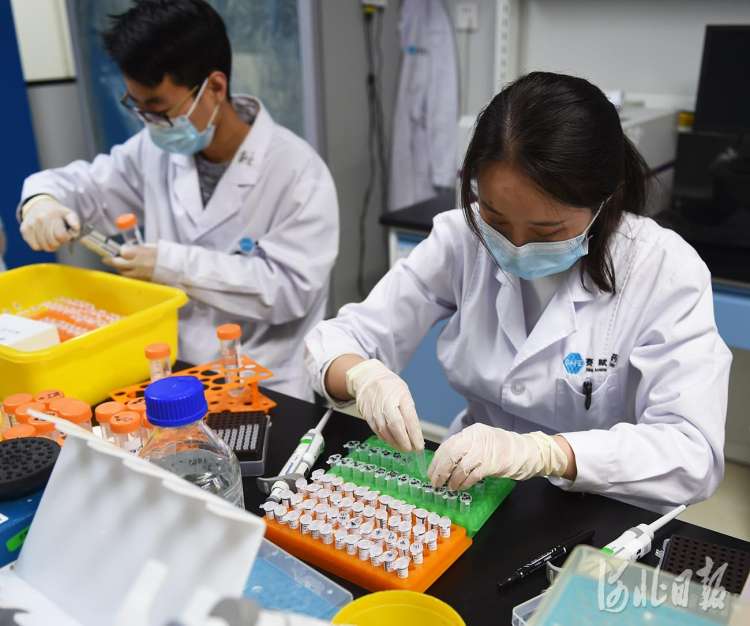 河北固安：打造生命健康产业集群