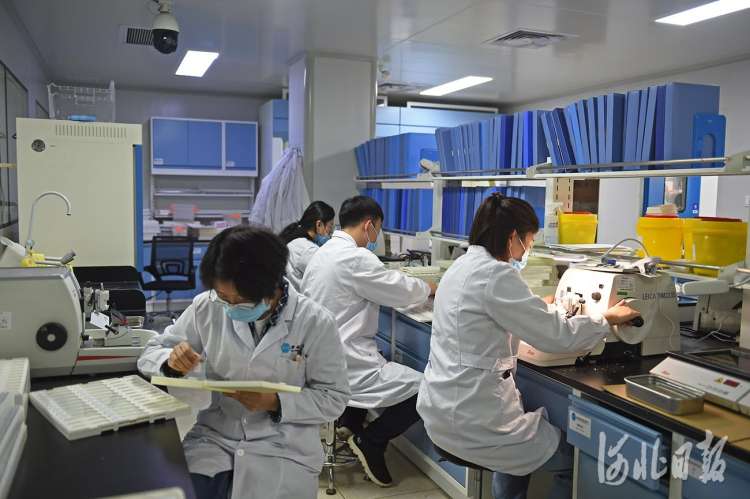河北固安：打造生命健康产业集群