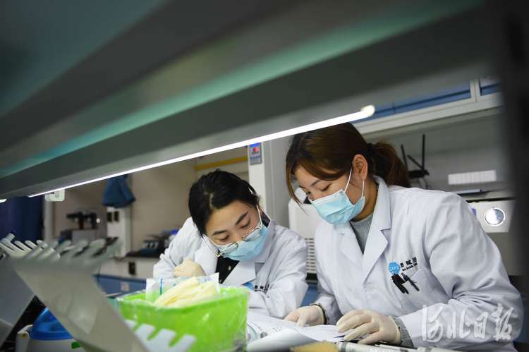 河北固安：打造生命健康产业集群