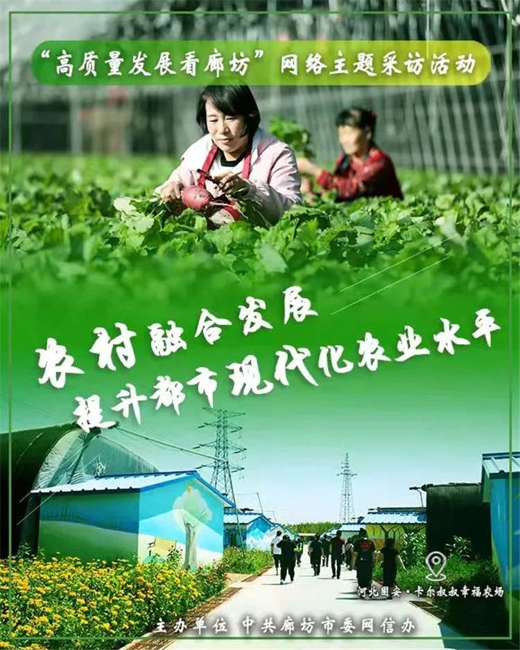 “高质量发展看廊坊”网络主题采访活动启动