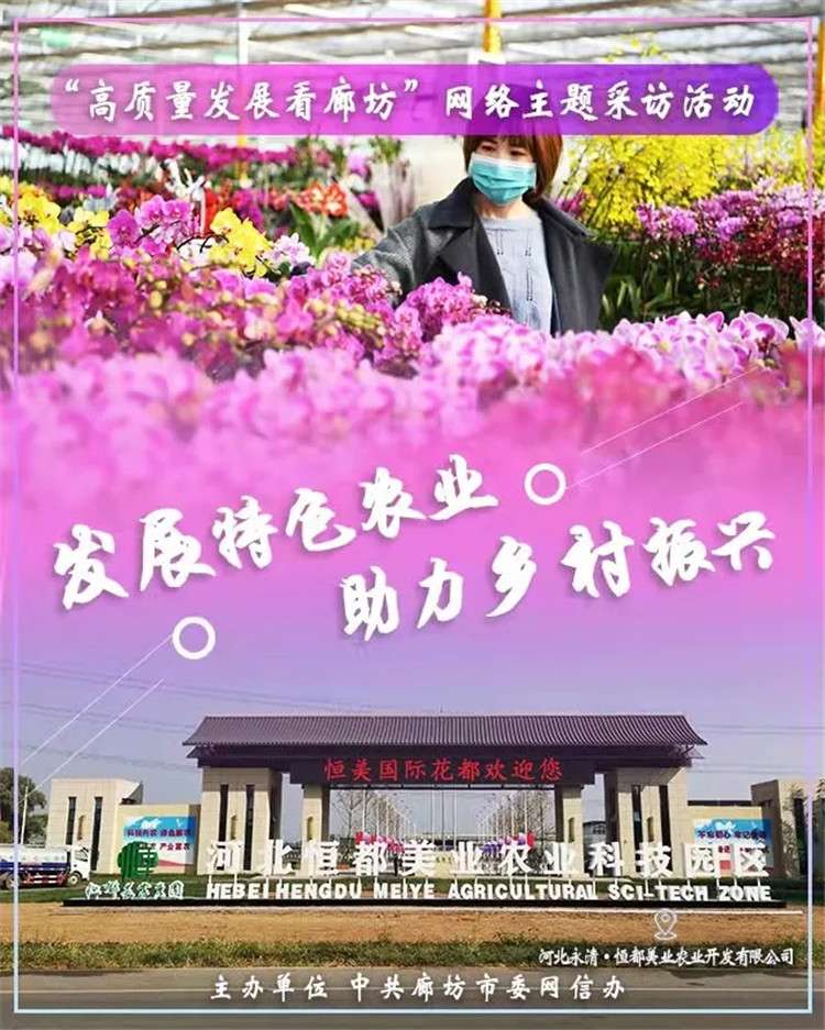 “高质量发展看廊坊”网络主题采访活动启动