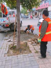 河北沙河：强化假日期间市容市貌管理