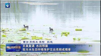 【奋进新征程 建功新时代】 百泉复涌 水润邢襄 邢台市水生态环境保护交出亮眼成绩单