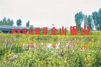 廊坊市安次区老龙河获“秀美河湖”称号