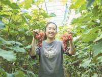香河发展特色农业 助力乡村振兴