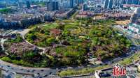 秦皇岛海港区持续巩固全国文明城市创建成果