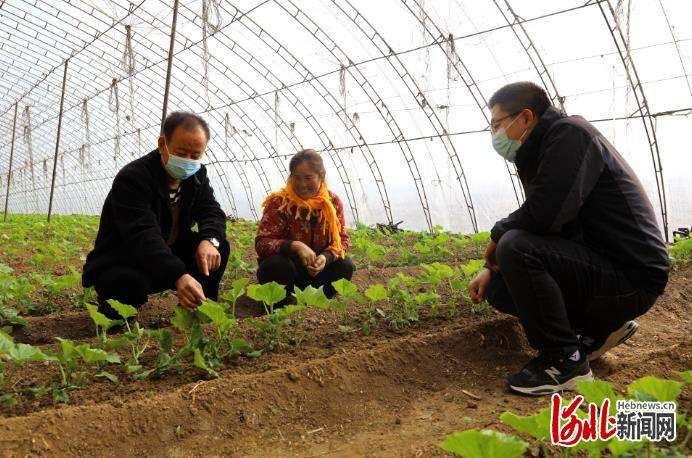 平泉市抓好冬季农技培训助力乡村振兴