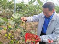 情满金秋 共摘硕果｜肃宁县计生协举办计生特殊家庭联谊活动