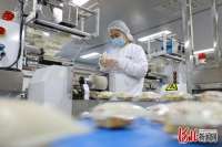 邯郸实施“农业产业项目突破年”活动