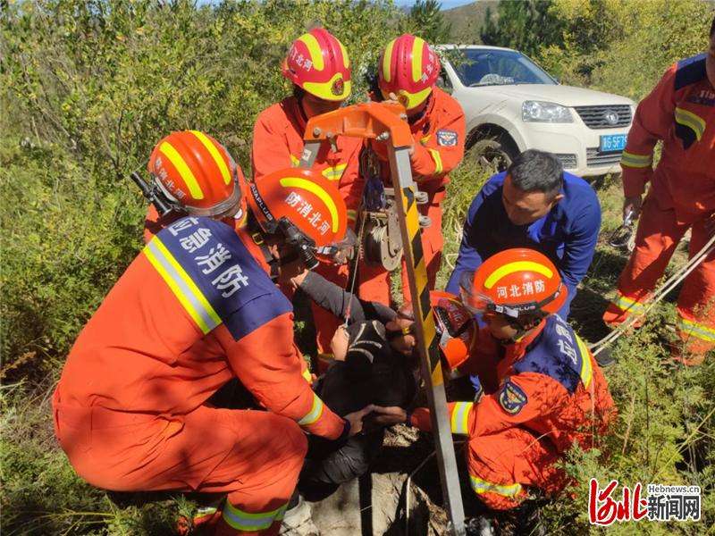 张家口赤城：女村民不慎掉入深井 消防火速救援