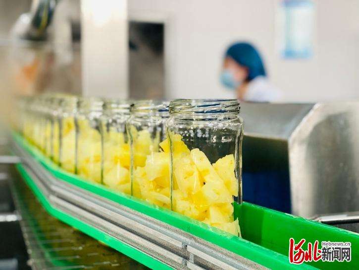 邯郸实施“农业产业项目突破年”活动