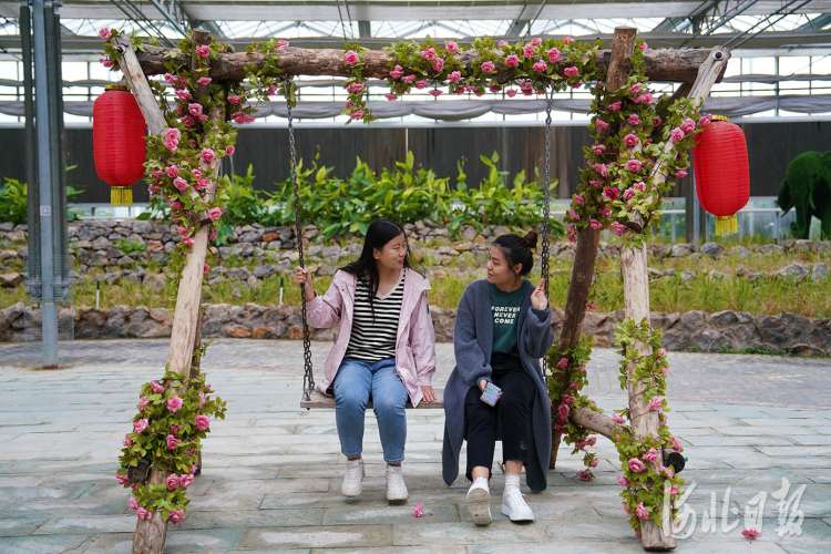 河北邢台市南和区：农旅融合迎客来