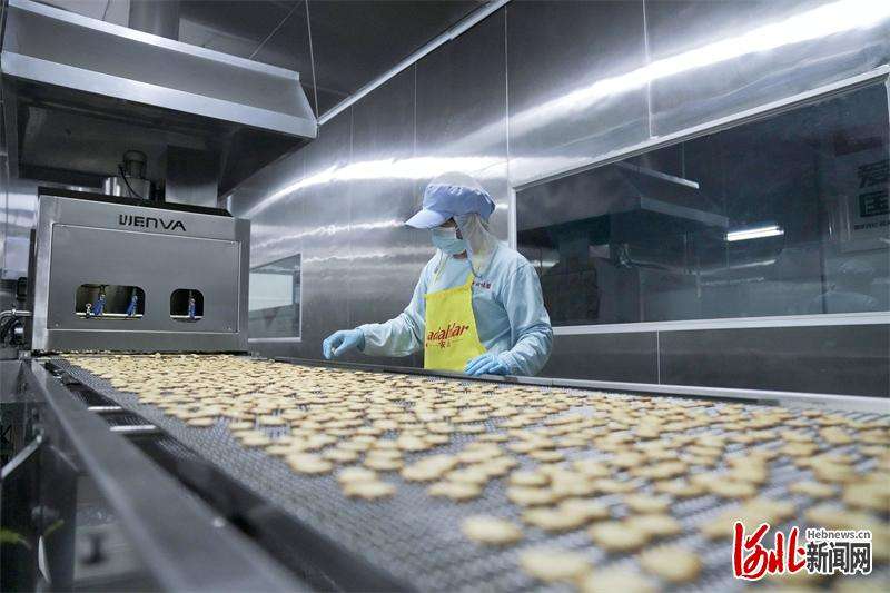 邯郸邱县发力精准招商引优质项目