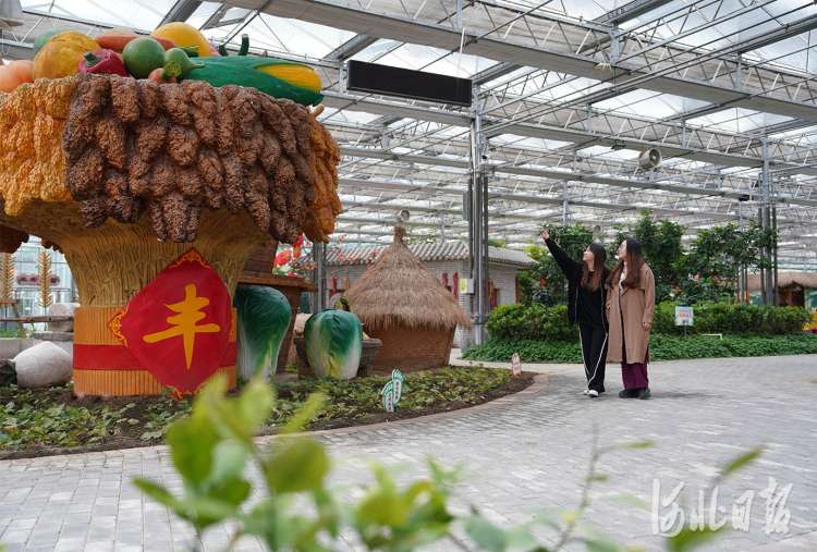河北邢台市南和区：农旅融合迎客来