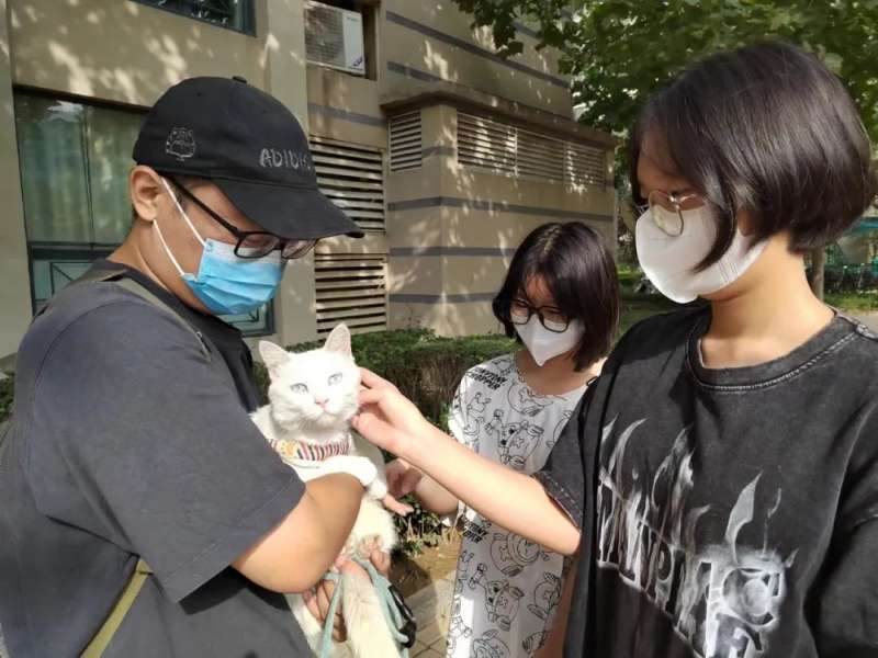 后续报道 | 石家庄全网寻找的那只叫“八两”的猫找到了!