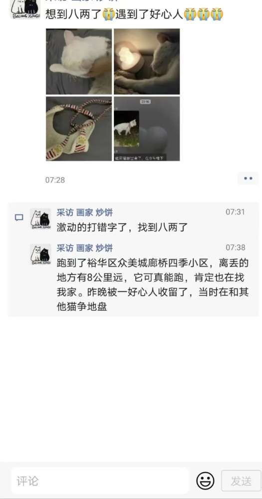 后续报道 | 石家庄全网寻找的那只叫“八两”的猫找到了！