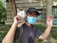 后续报道 | 石家庄全网寻找的那只叫“八两”的猫找到了！