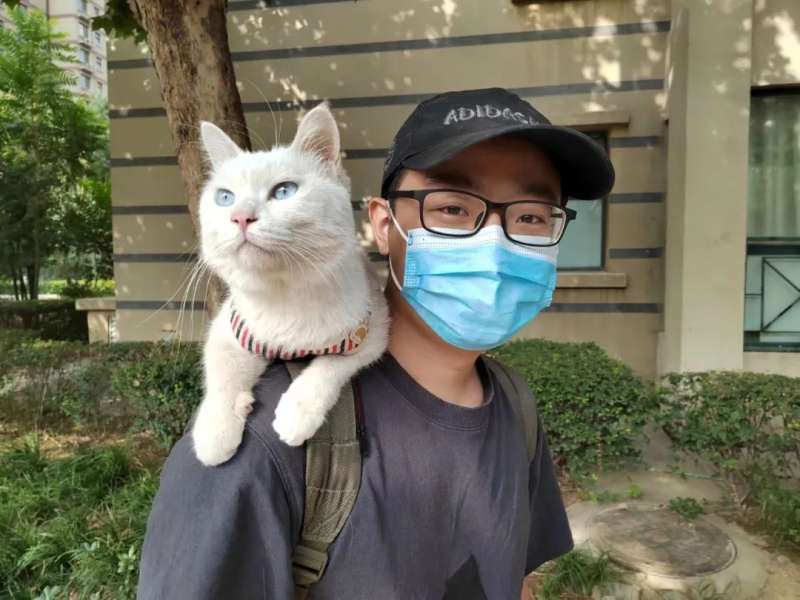 后续报道 | 石家庄全网寻找的那只叫“八两”的猫找到了！