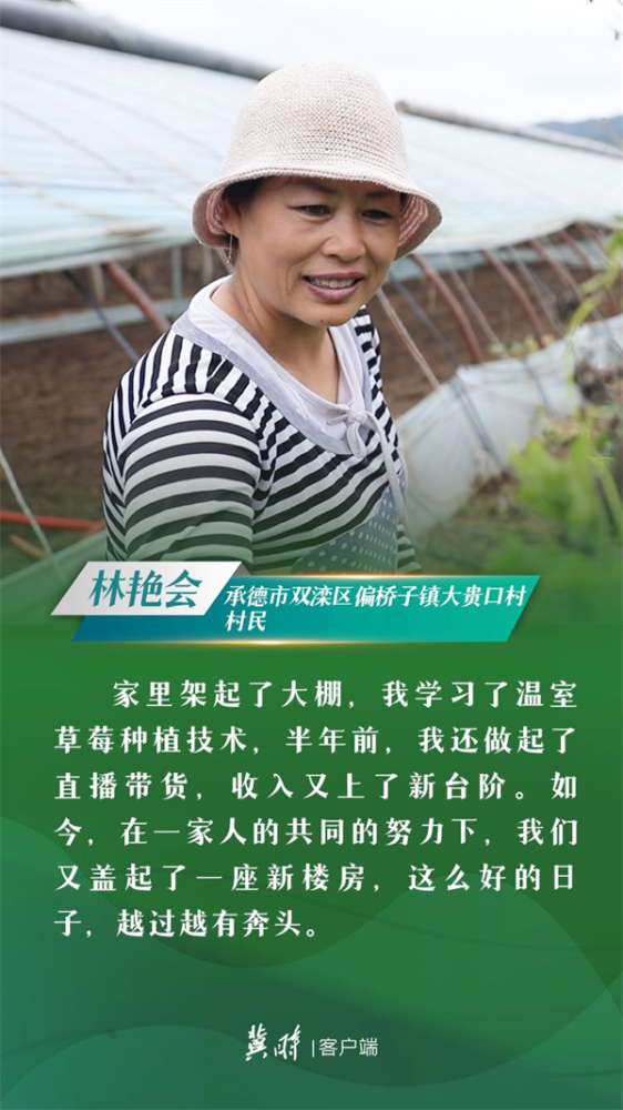 冀时·云回响 | 民生福祉无小事，一枝一叶总关情