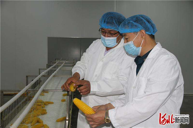 张家口市市场监管“一企一策”为速冻（常温）玉米食品生产企业纾困解难