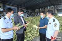 张家口市市场监管“一企一策”为速冻（常温）玉米食品生产企业纾困解难