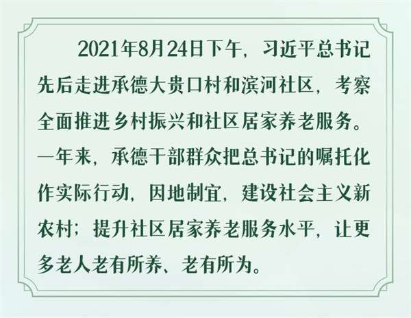冀时·云回响 | 民生福祉无小事，一枝一叶总关情
