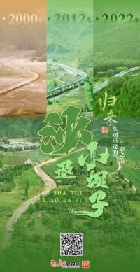 归来·久别重逢的生态之美④｜沙退小坝子