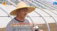 承德贵口村：唱响乡村振兴歌 绘就美丽山水画