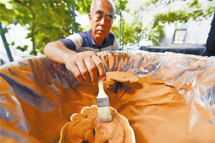 廊坊市广阳区“葡芝共生”拓宽群众致富路