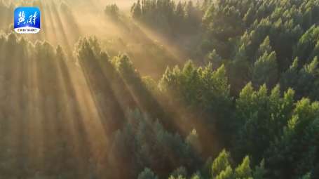 【创意视频】翱翔在最美的河北