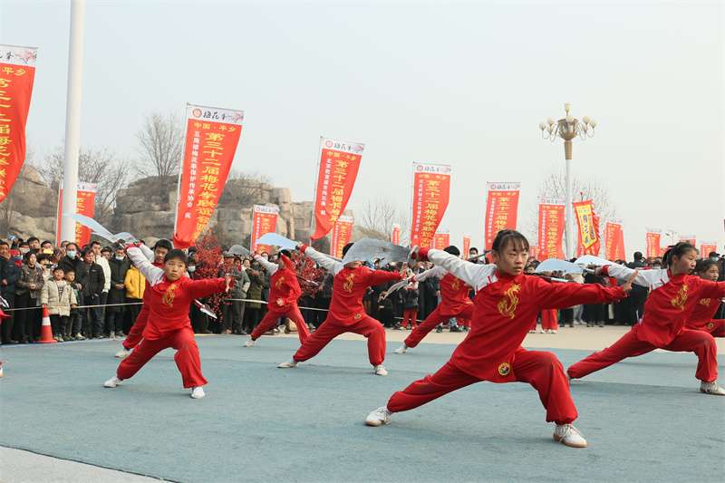 数万人亮拳献技！第32届梅花拳联谊会在平乡县后马庄举行