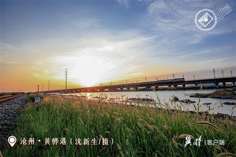 【港口雄开万里流】黄骅港：向海图强 逐梦深蓝