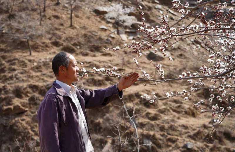 河北临城：一家人20多年带领乡亲植树10万株