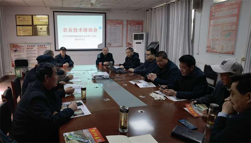 宁晋县自然资源和规划驻唐邱镇双井村工作队开展小麦果树春管培训，助力乡村振兴