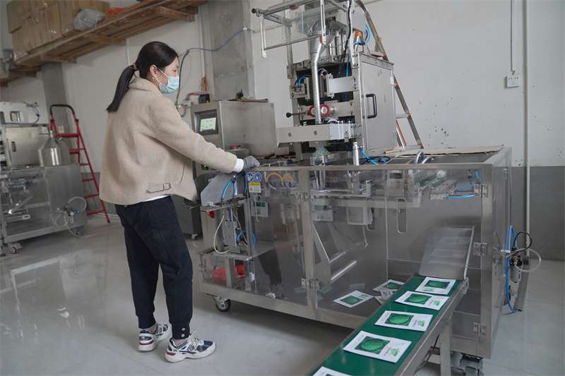 河北邢台：育种生产忙