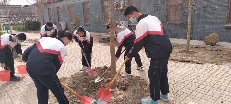 不负春光！邢台隆尧组织师生开展植树节劳动教育实践活动